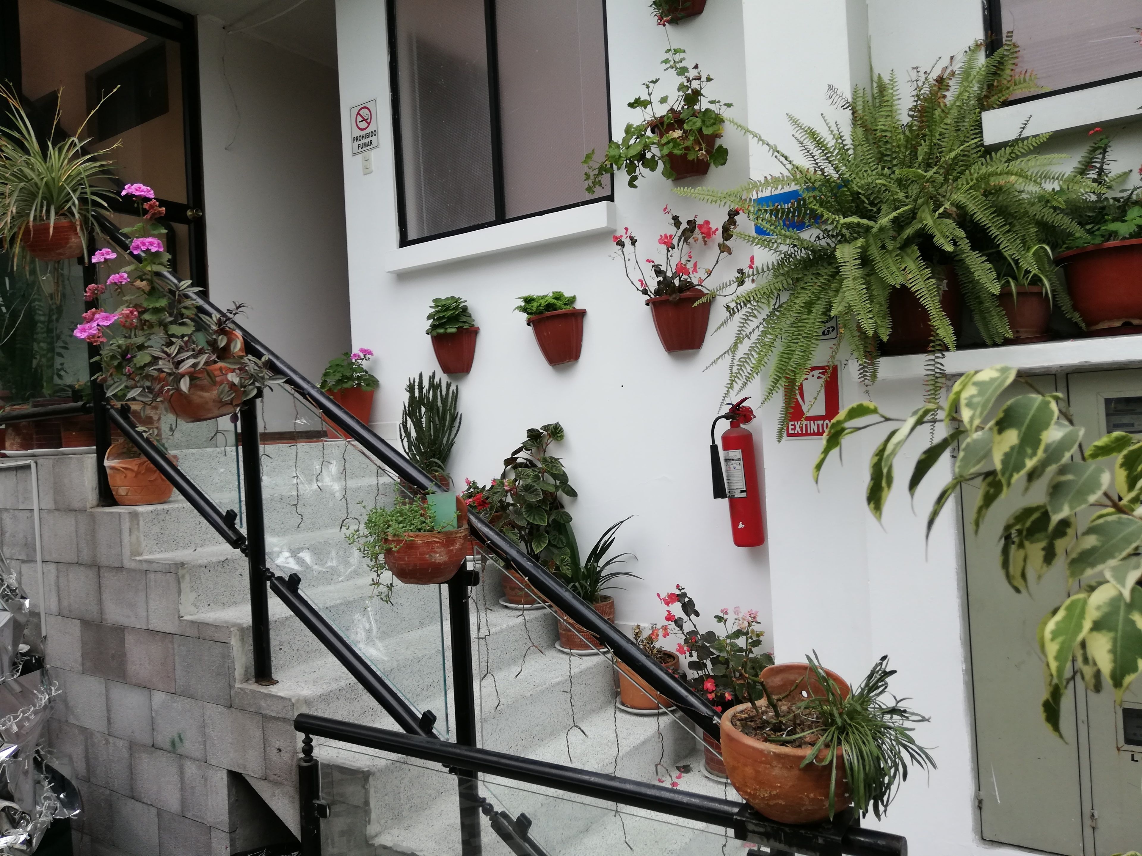 Foto - Hostal Sauna Water Palace