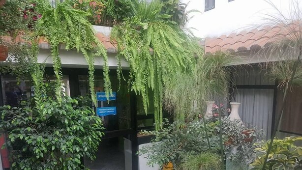 Property grounds - Water Palace Hostal (Quito)