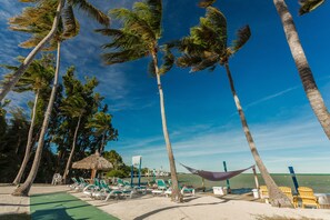 Property grounds - 3 Bedroom Private Oceanfront House - Sol (Islamorada)