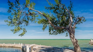 Ein von Bäumen gesäumter Strand mit einem Betonweg und einer Steinstruktur im Wasser.