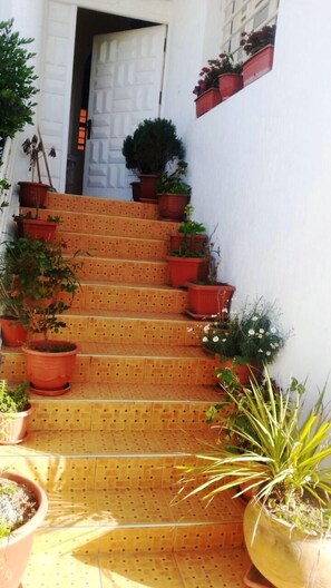 Exterior detail - Spacious villa with caretaker and large garden (Alamria)