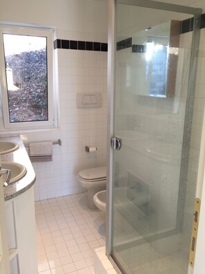 A bathroom with a glass shower door, a toilet, a sink, and a window. - Superb villa with panoramic view over Lake Maggiore (Pollino)