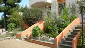A modern building with a staircase leading to the entrance, surrounded by various plants and trees.
