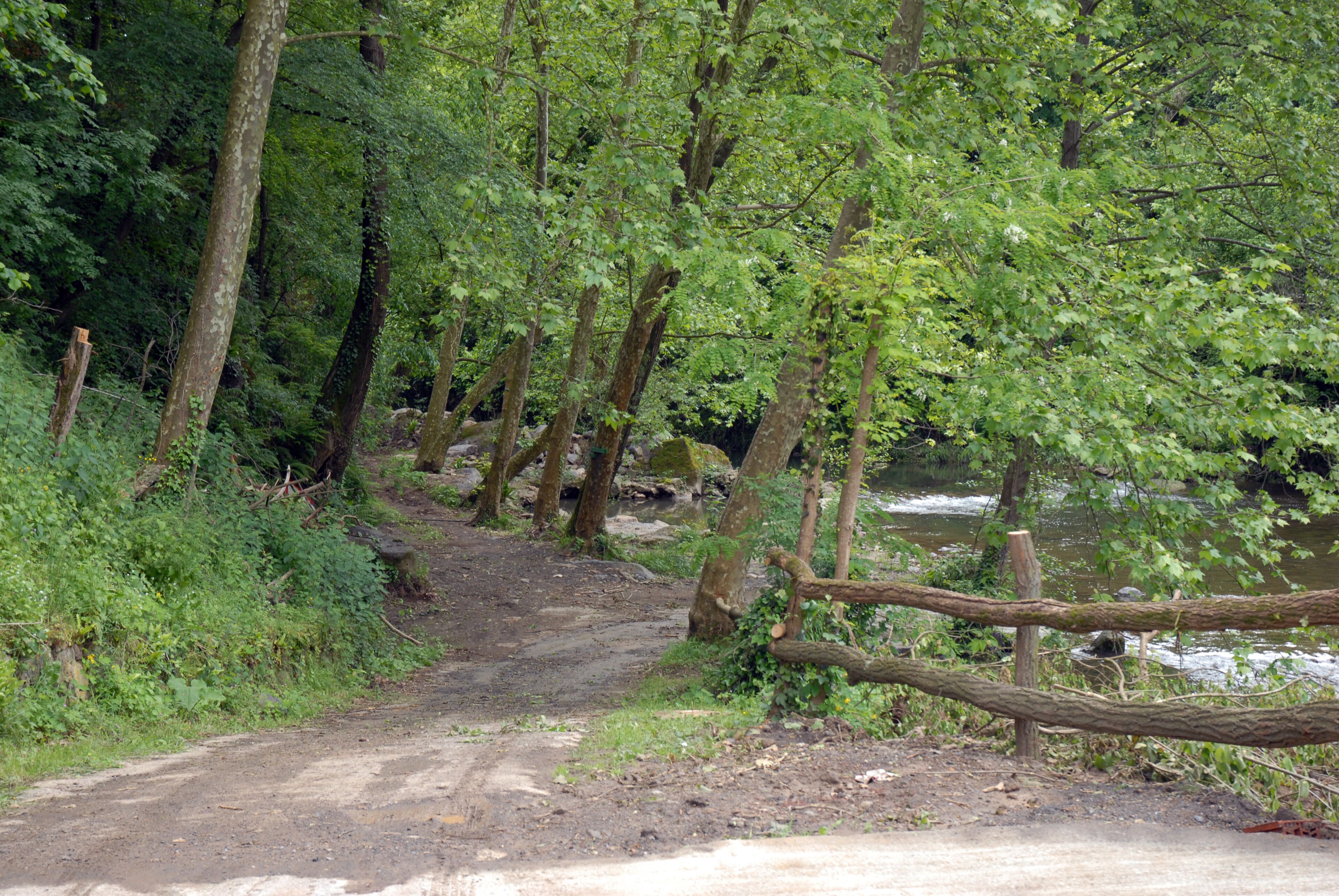 Ein Feldweg, umgeben von Bäumen und einem Holzzaun.