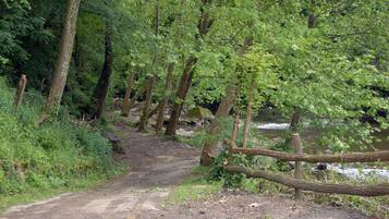 Ein Feldweg, umgeben von Bäumen und einem Holzzaun.