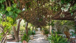 A covered garden pathway with potted plants and seating areas. - Apartment with Pool and Park in Villa Oasi (Santa Barbara)