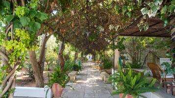 Parco della struttura