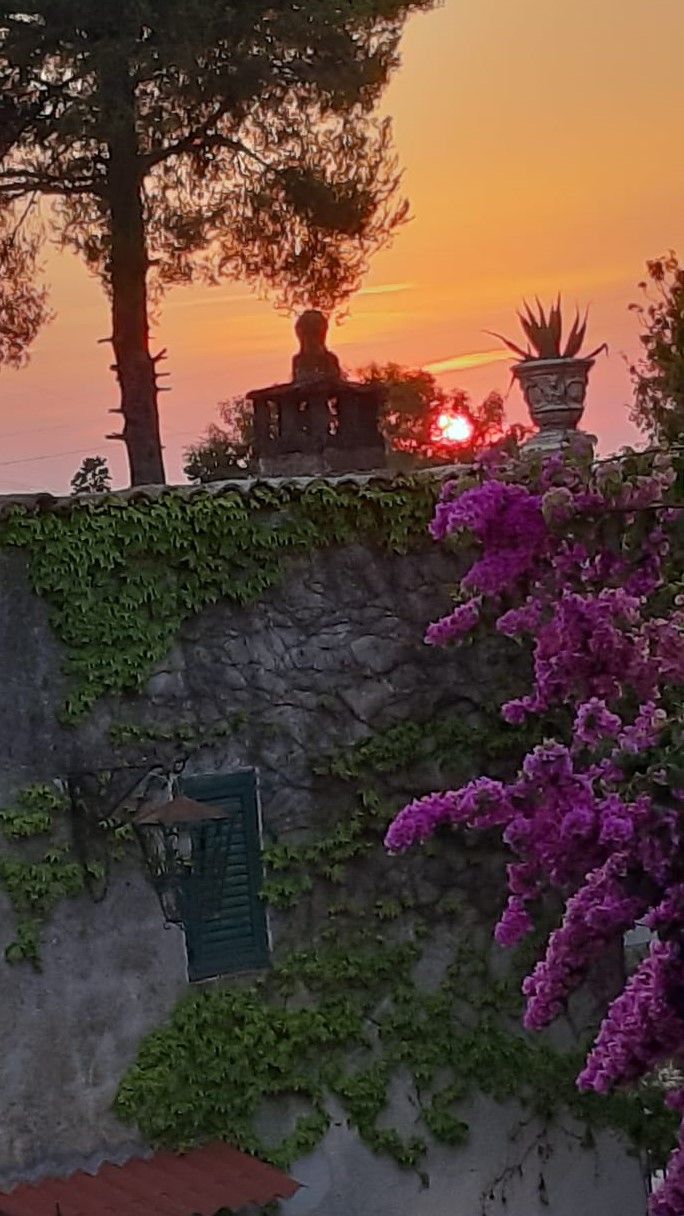A stone wall with a statue, a potted plant, and a pergola with purple flowers.