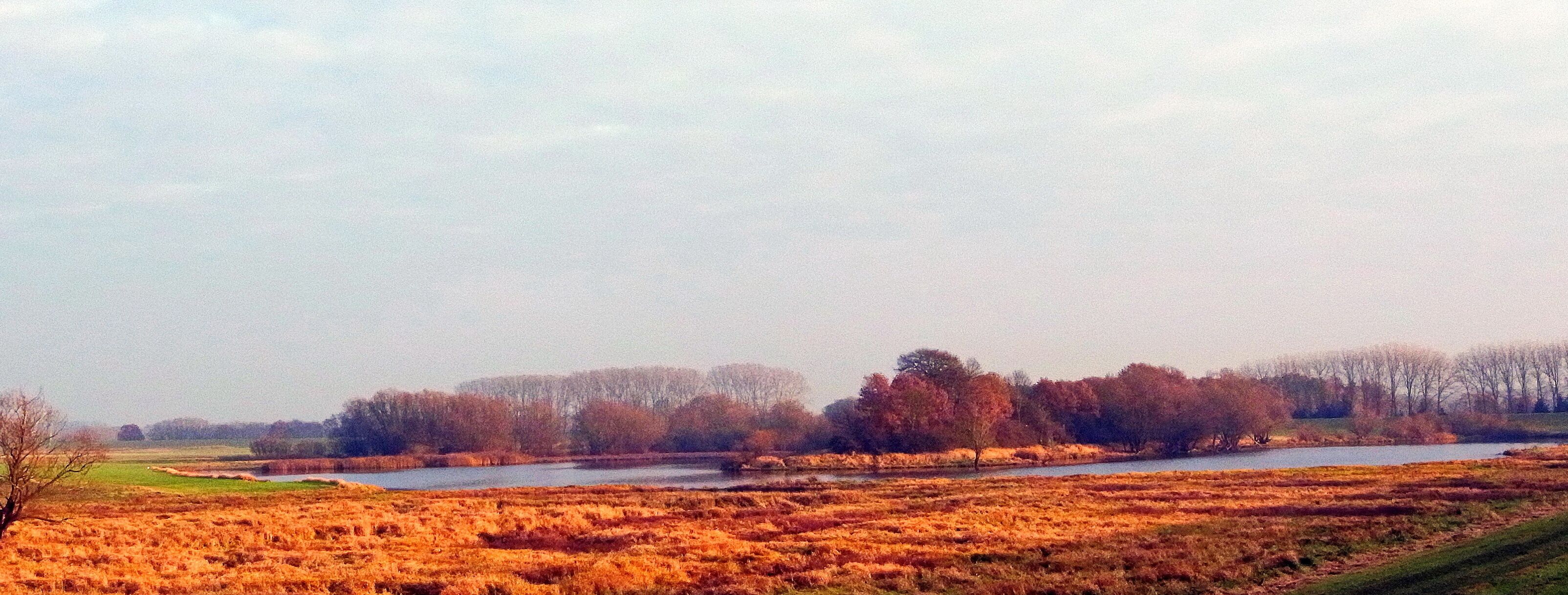 A river flowing through a field with trees in the background.