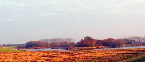 A river flowing through a field with trees in the background.