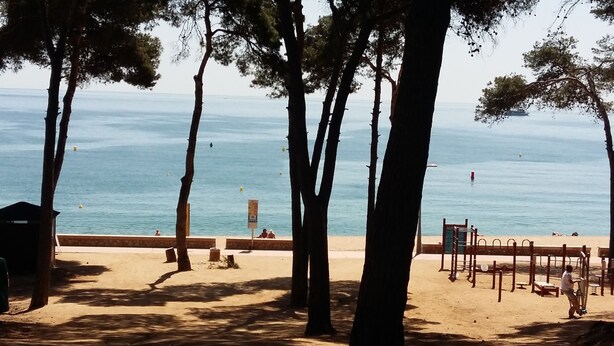 A beach with trees, a sandy area, and a view of the sea. - Family villa with private pool in Lloret de Mar - 3 bedrooms - quiet (Lloret de Mar)