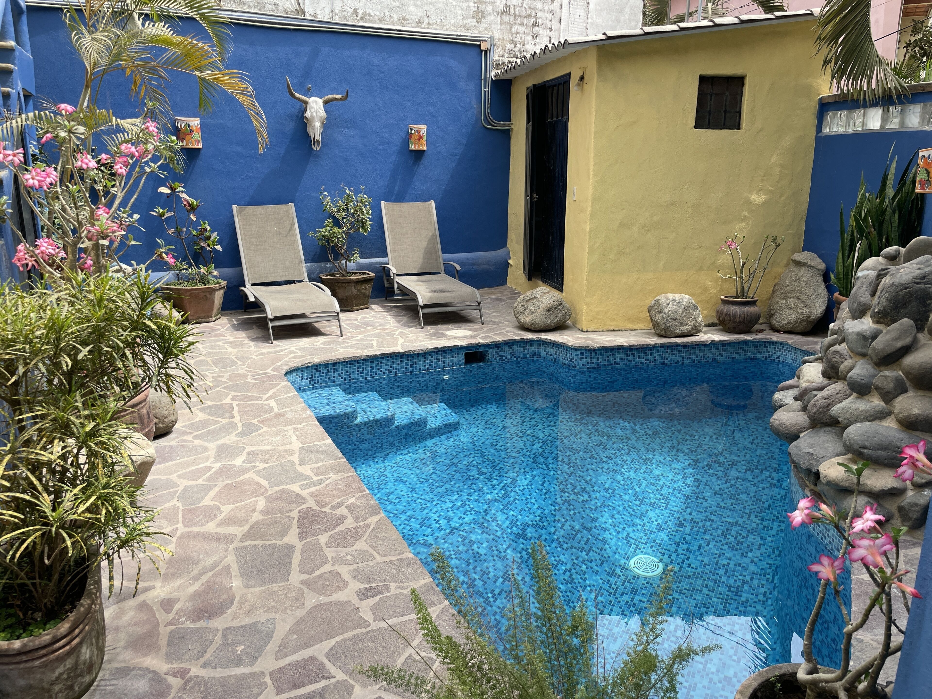 Top 10 Monthly Rentals In Sayulita, Mexico Updated 2024 Trip101