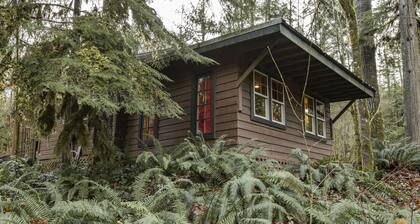 Acogedor rústico 20 minutos a pie de Mt Baker a la ciudad, bañera de hidromasaje