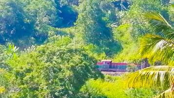 Thành phố nhìn từ nơi lưu trú