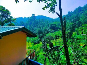 Interior - Mars Wonderland View (Ella)