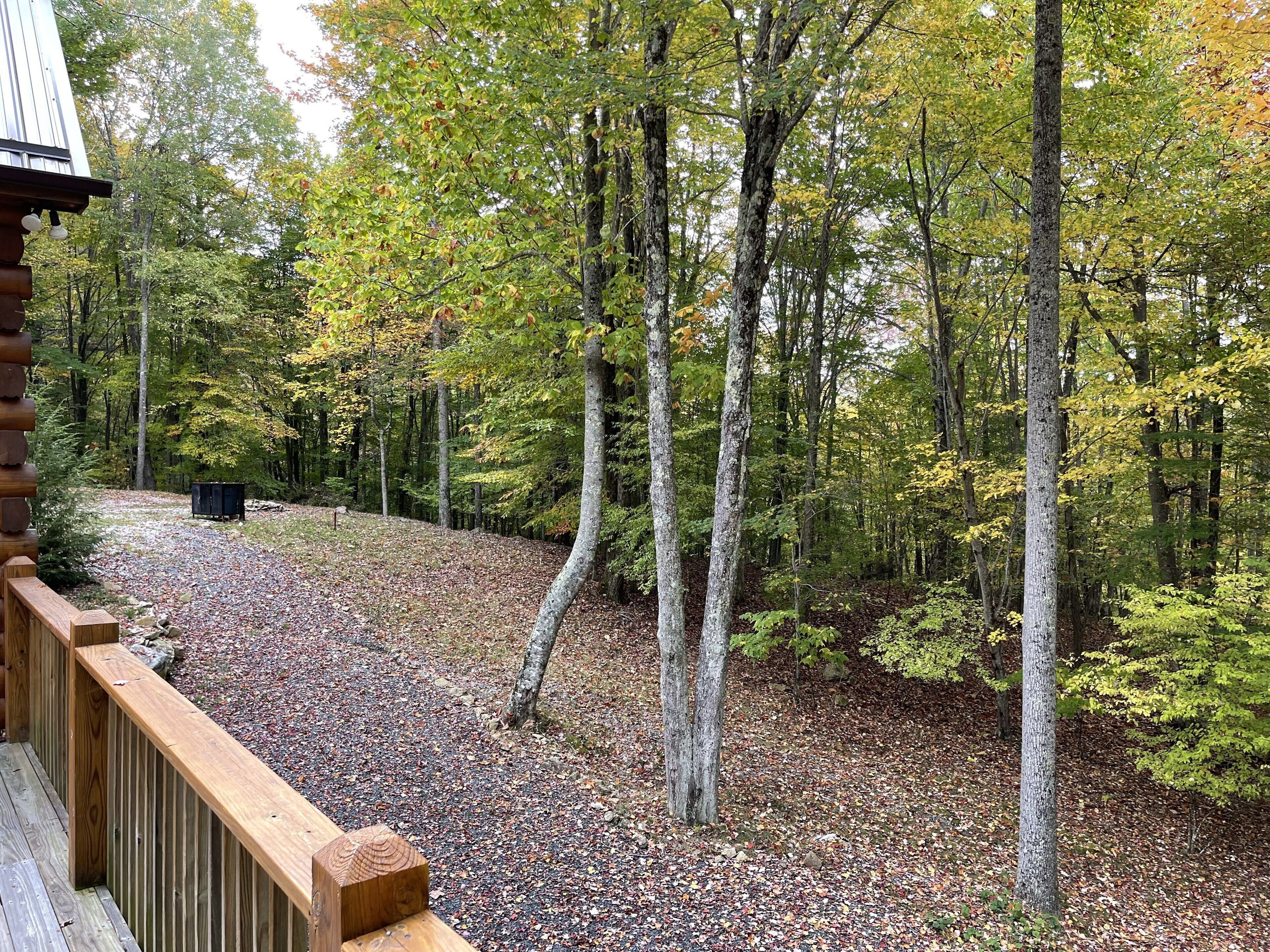 Une cabane dotée d’une terrasse en bois donnant sur une zone boisée aux couleurs automnales.