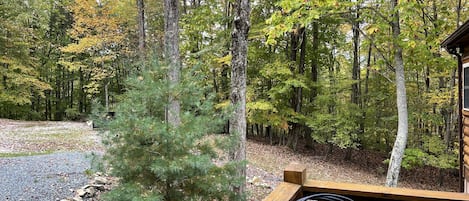 A wooden deck with a black chair, surrounded by a forest with various trees and a gravel path.