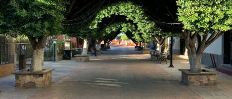 Overnatningsstedets område