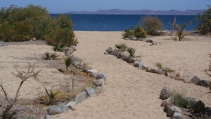 Un paysage désertique avec un chemin bien tracé menant à la mer, entouré d’une végétation clairsemée et de rochers.
