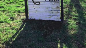 A wooden sign with the text "6055 Willow Pond" indicating a location or property name. - Charming cottage on 65 rolling acres (Mt. Juliet)