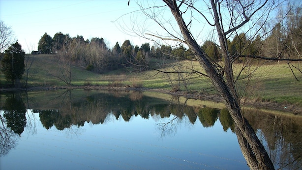 A calm lake with reflections of trees and a clear sky. - Charming cottage on 65 rolling acres (Mt. Juliet)