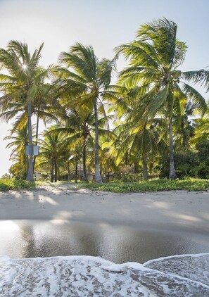 On the beach, sun-loungers, beach towels - Linda Casa Beira Mar in Patacho Beach (Porto de Pedras)