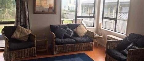 Televisor, reproductor de DVD, llibres i estèreo