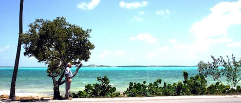 Chaise longue, serviettes de plage