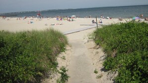 Uma praia de areia com um caminho que leva à água, cercada por vegetação.