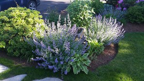 Butterfly/Hummingbird garden out front