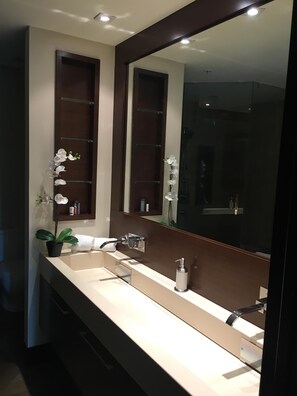 Bathtub, hair dryer, towels, toilet paper - beautiful townhouse on Brickell Miami´s prestigious residential are, free wifi (Miami)