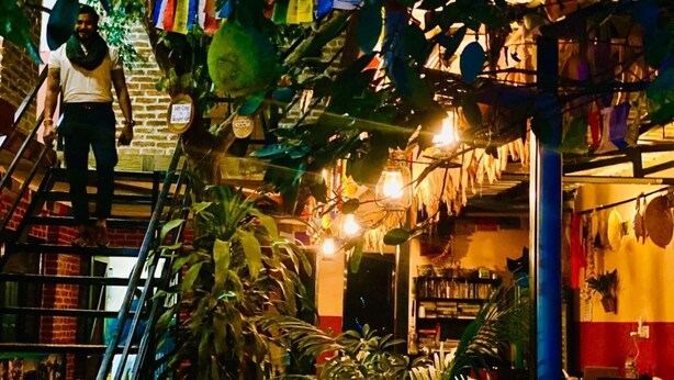 A cozy indoor space with a staircase, potted plants, and shelves with various items. - Gurung's Home (Kathmandu)