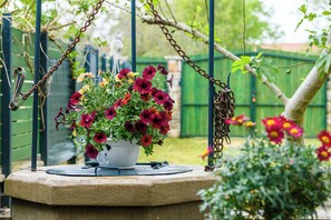 المنطقة المحيطة بالمنشأة