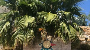 A sign for Vila Sol Art & Nature with palm trees and a stone wall in the background.