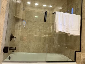 Combined shower/tub, jetted tub, hair dryer, towels