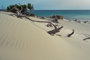 Teli da spiaggia