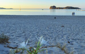 Teli da spiaggia