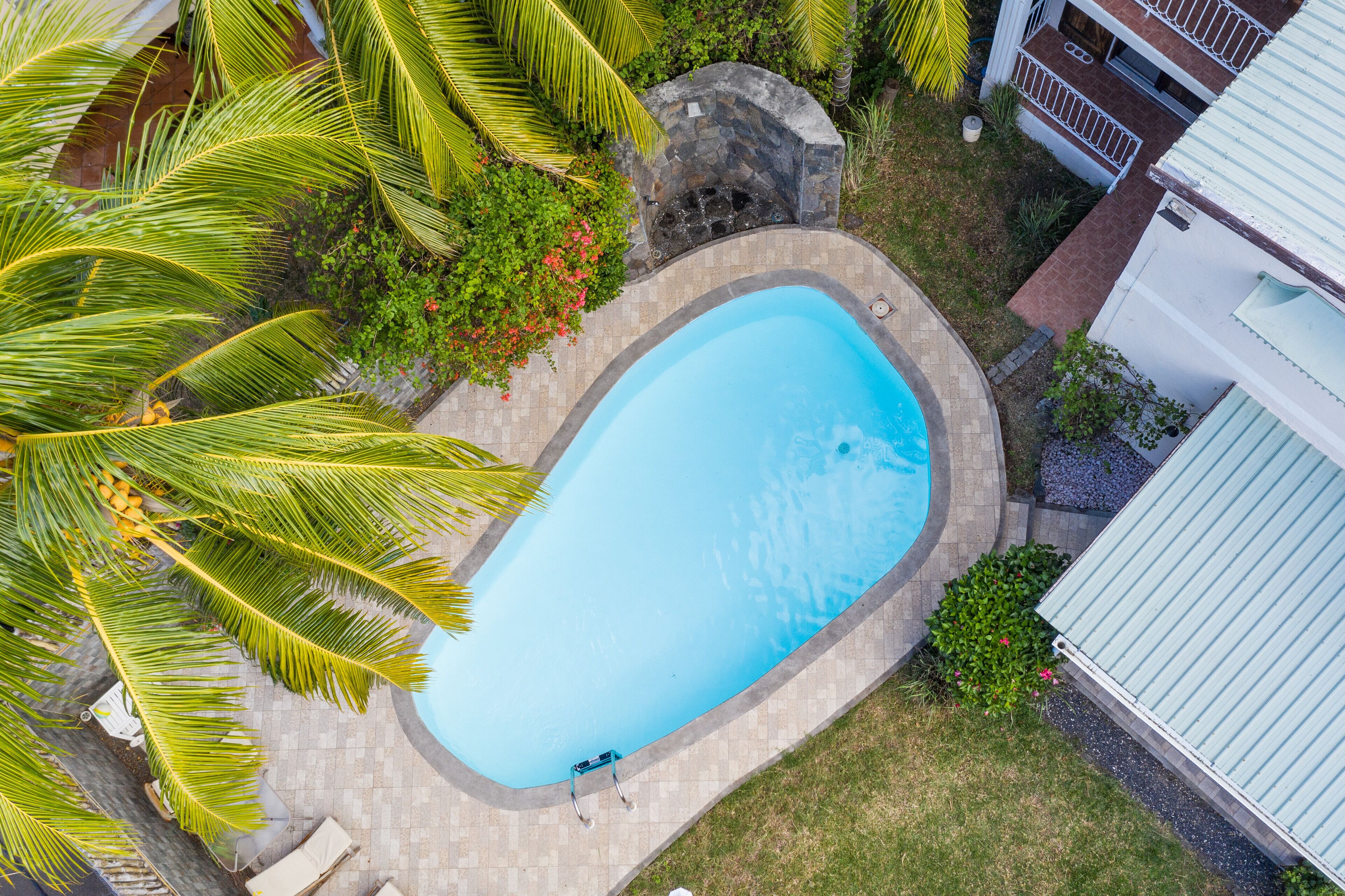 An aerial view of a swimming pool surrounded by palm trees and a stone wall, with a small garden area and a building in the background.