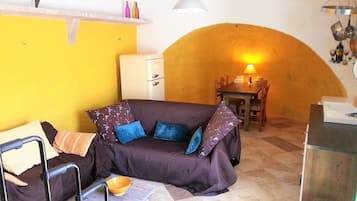 Smart TV, fireplace, DVD player, books