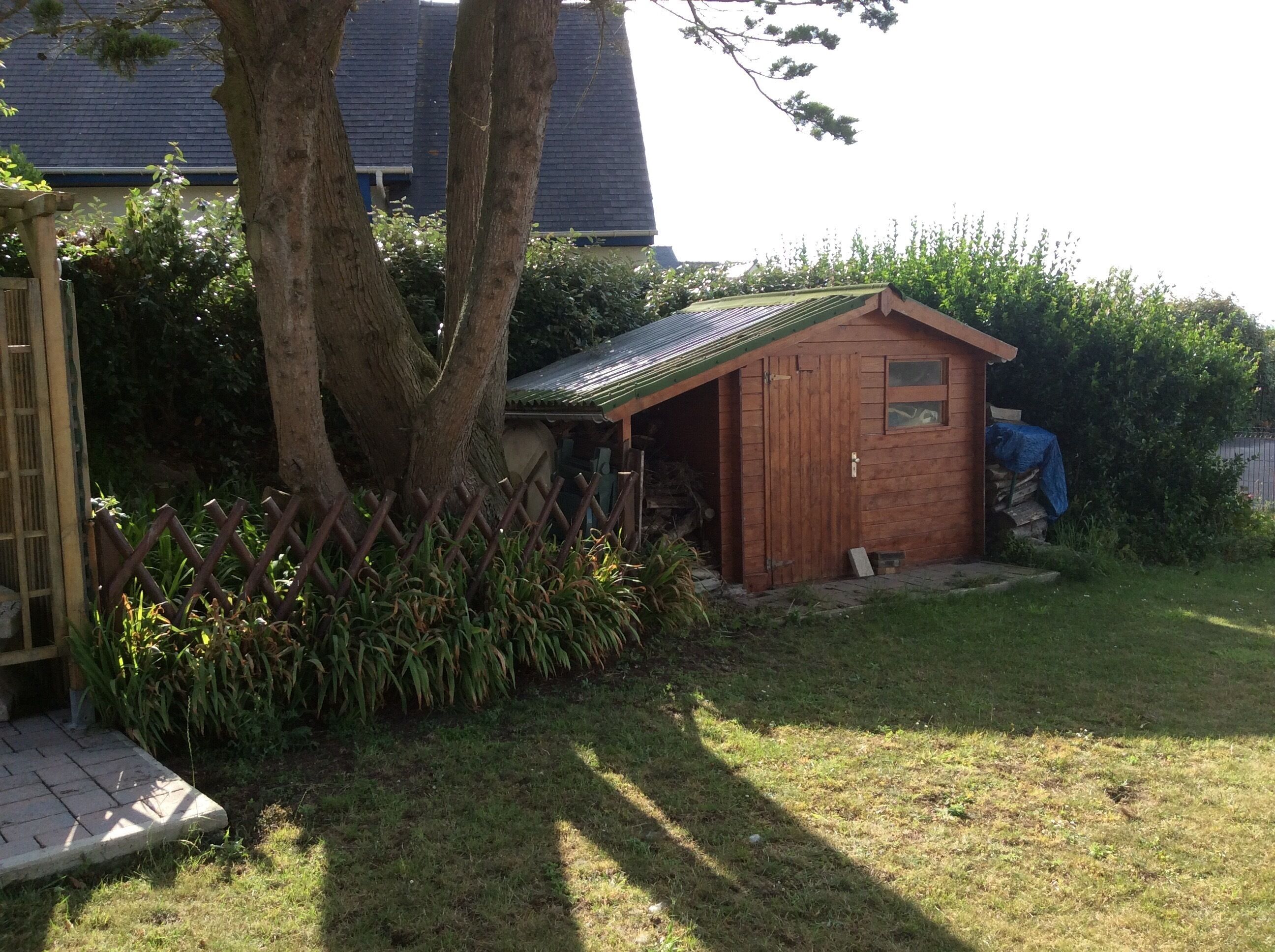 A wooden shed with a green roof, a fenced garden area with tall plants, and a tree in the foreground.