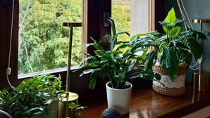 A window with a view of greenery and mountains, a wooden window sill with potted plants, and a curtain rod.