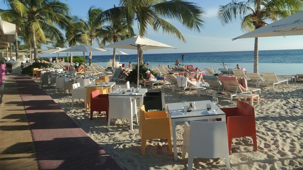 A beachside restaurant with outdoor seating, palm trees, and a view of the ocean.