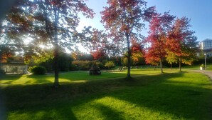 Ein Park mit grünem Gras, Bäumen mit roten Blättern und einem Gebäude im Hintergrund.