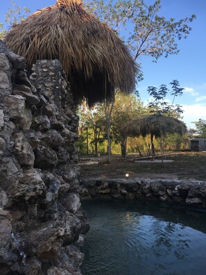 Reception - Cheleembalam Cabins (Calakmul)