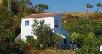 Holiday home in the olive grove with sea views and outdoor pool