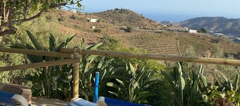 Holiday home in the olive grove with sea views and outdoor pool