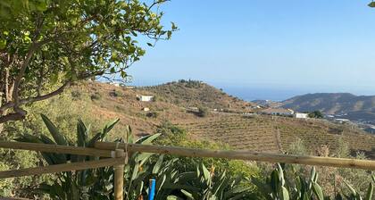 Holiday home in the olive grove with sea views and outdoor pool