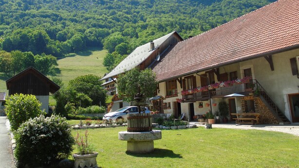 En traditionel schweizisk chalet med et flis tag, en stentvilling og udsigt over en frodig dal.