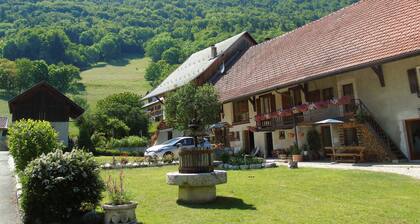 Between the mountain pastures and the beach