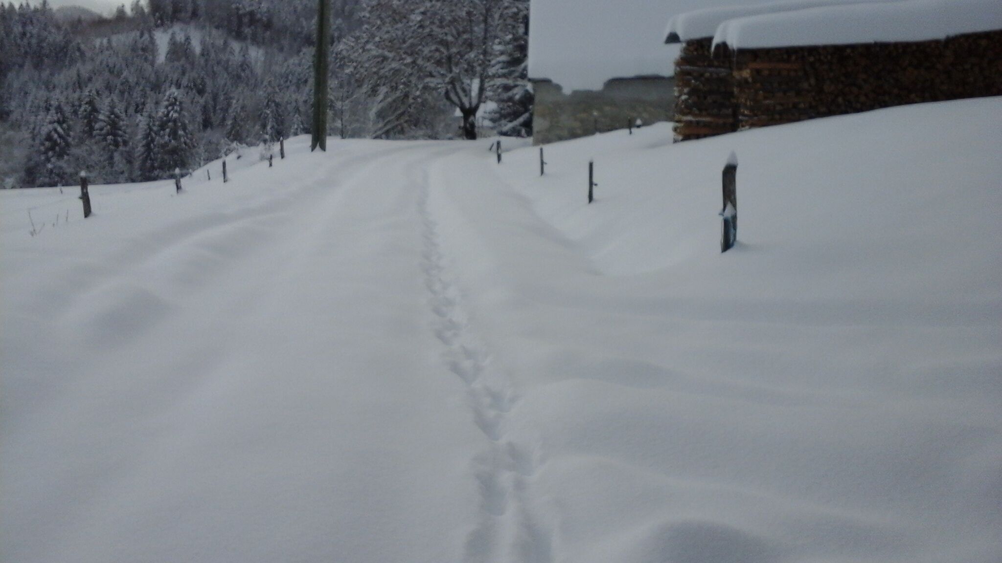 滑雪运动